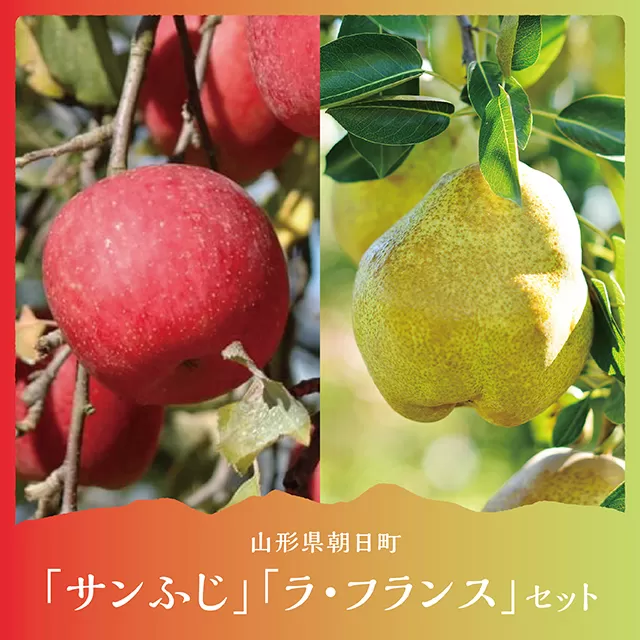 ラ・フランス＆サンふじ 詰合せ 5kg 各6～9玉 秀品 【11月中旬発送】贈り物 農家直送 山形県 朝日町産 山形県産 山形 特産 果物 フルーツ りんご リンゴ 林檎 ふじ ラフランス 洋ナシ 洋梨 セット 産地直送 秋 冬