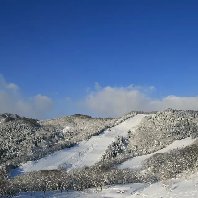 【Asahi自然観】スノーパーク リフト1日券 2025-2026シーズン スキーリフト券 山形県 朝日町 スポーツ スキー場 スキー場リフト券 スキー スノボ