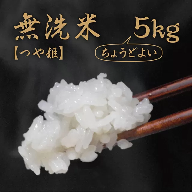 無洗米 つや姫 令和6年産 5kg 2024年産 山形県 朝日町産 精米 米 こめ コメ