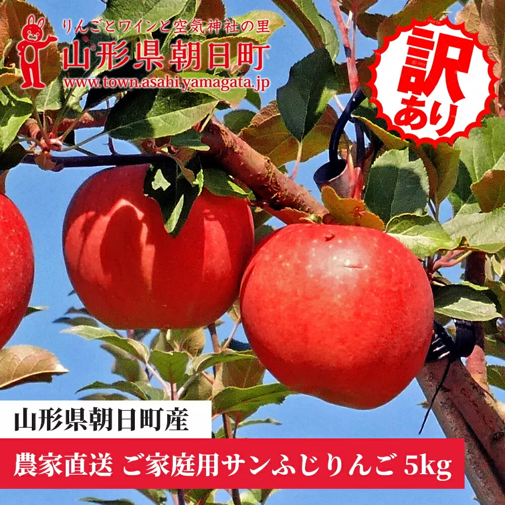 ＜先行予約＞ 農家直送 朝日町産 りんご 【 ご家庭用 訳あり 】 サンふじ 5kg 【2025年11月下旬～発送】