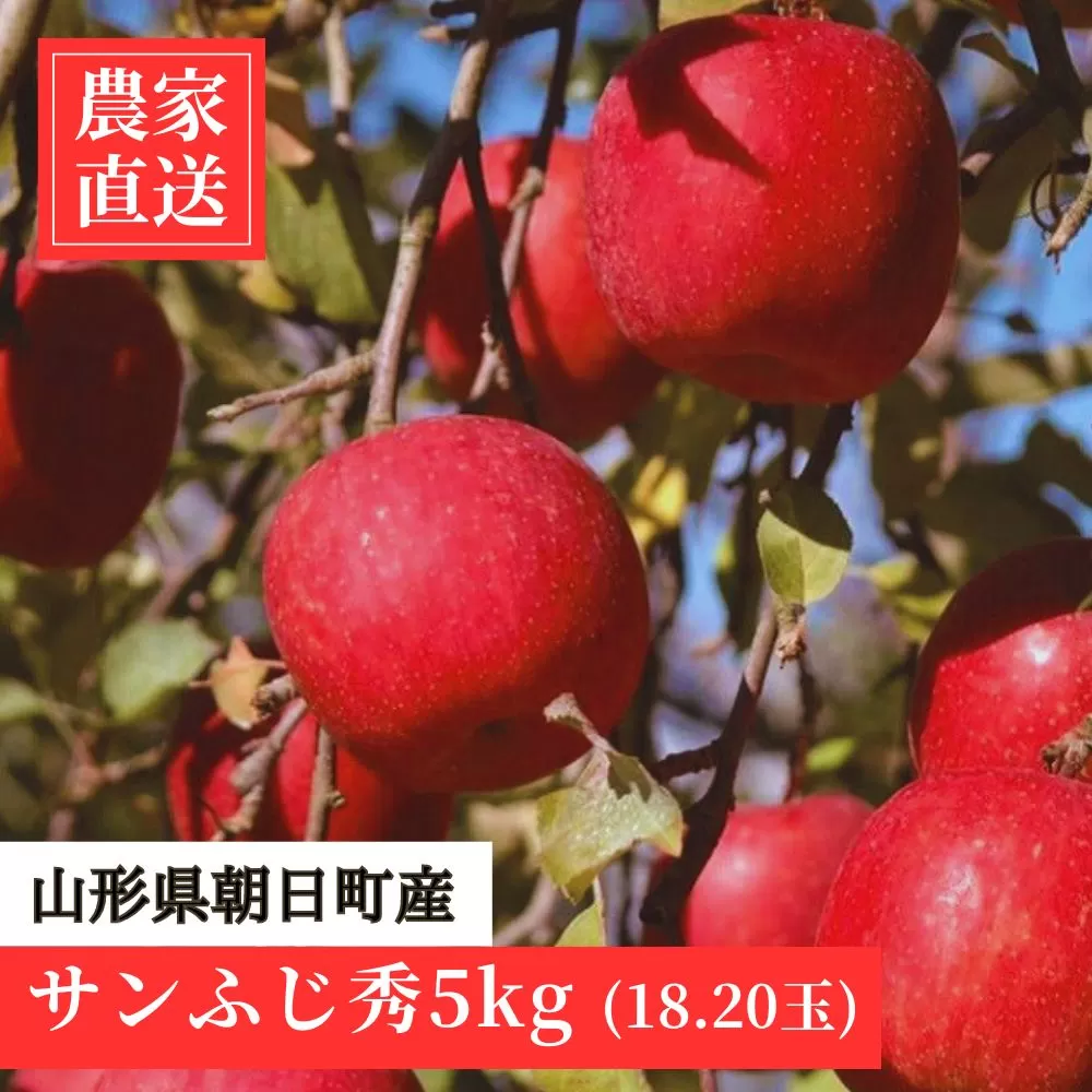 ＜ 先行予約 ＞ 農家直送 山形県 朝日町産 りんご サンふじ 秀 5kg 16～20玉 山形県産 特産 果物 フルーツ リンゴ 林檎 産地直送 秋 冬 【2025年12月上旬発送】