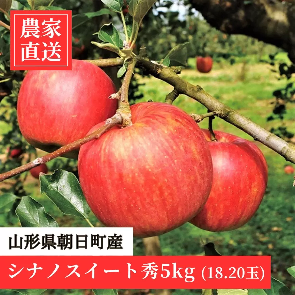 りんご シナノスイート 秀 5kg 16～20玉 【10月上旬発送】 農家直送 山形県 朝日町産 山形県産 果物 フルーツ リンゴ 林檎 秋 産地直送 先行予約