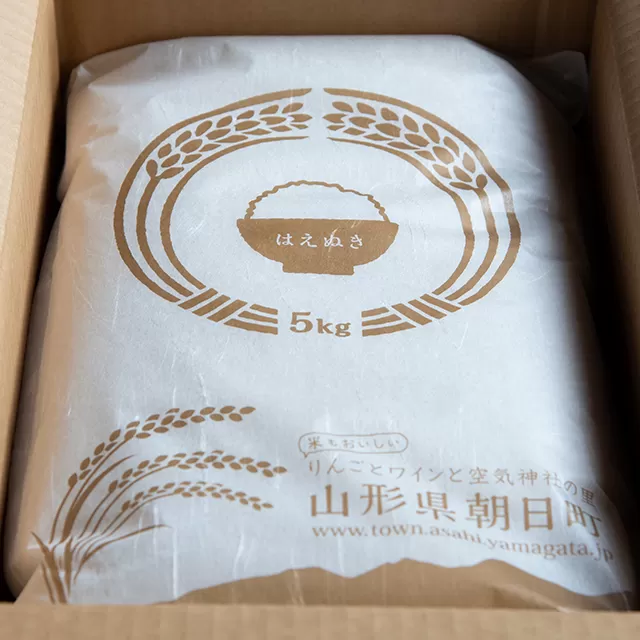 米 はえぬき 令和6年産 10kg（5kg×2袋） 精米 2024年産 山形県 朝日町産 こめ コメ
