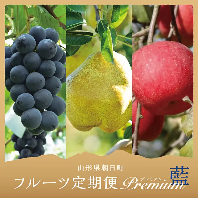 【 定期便 3回 】 フルーツ ３種類 定期便 ( ぶどう 洋梨 りんご ） 秀品 プレミアム 藍コース 農家直送 山形県 朝日町産 農産物 山形産 ブドウ ピオーネ ラ・フランス リンゴ サンふじ 果物 秋 冬