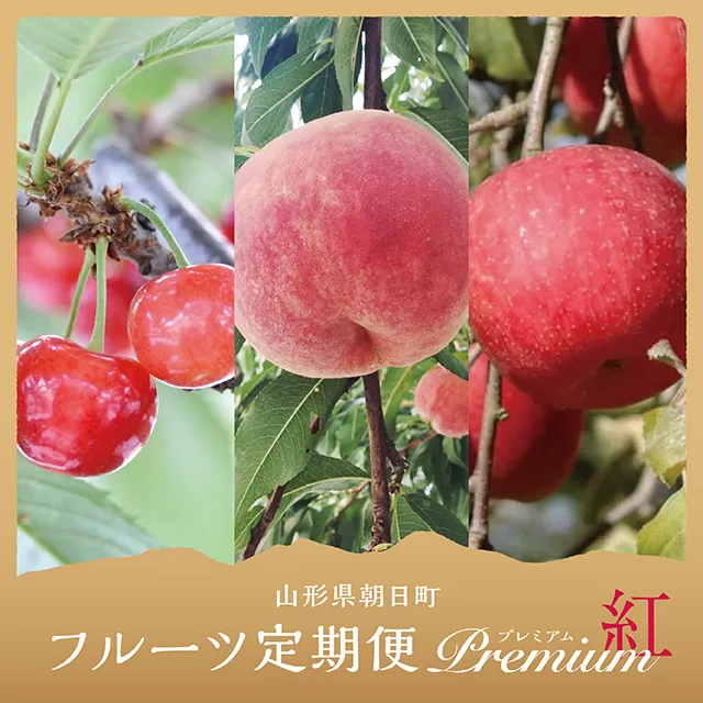 フルーツ ３種類 定期便 ( さくらんぼ 白桃 りんご ） プレミアム 紅コース 秀品 農家直送 山形県 朝日町産 農産物 山形産 サクランボ 紅秀峰 もも 川中島 リンゴ サンふじ 高級 果物 夏 秋 冬 送料無料