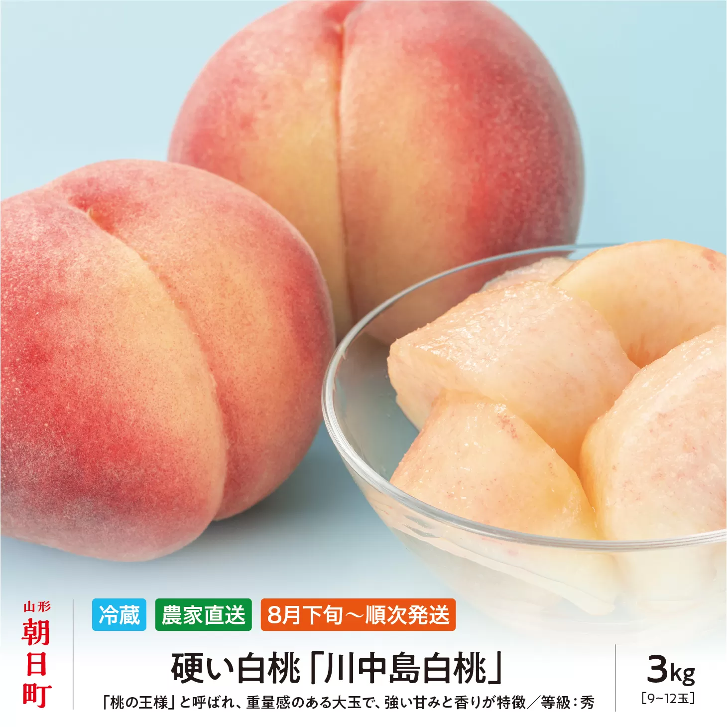 ＜先行予約＞白桃 川中島 3kg 9～12個 秀品 【2026年8月下旬発送】 農家直送 山形県 朝日町産 山形産 もも モモ 桃 ピーチ 果物 フルーツ 夏 送料無料 糖度 クール便 冷蔵便