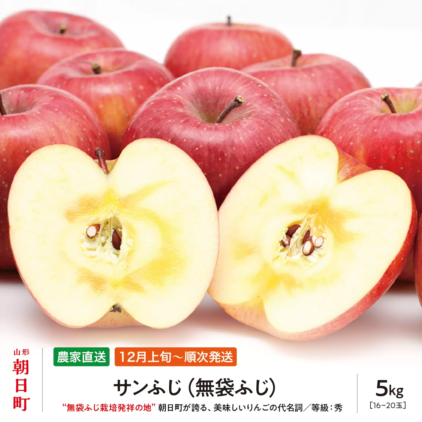 ＜ 先行予約 ＞ 農家直送 山形県 朝日町産 りんご サンふじ 秀 5kg 16～20玉 山形県産 特産 果物 フルーツ リンゴ 林檎 産地直送 秋 冬 【2025年12月上旬発送】