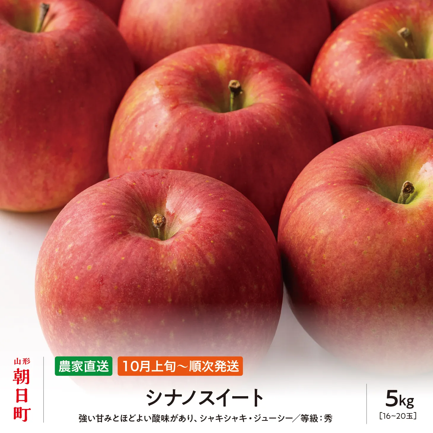 りんご シナノスイート 秀 5kg 16~20玉 【10月上旬発送】 農家直送 山形県 朝日町産 山形県産 果物 フルーツ リンゴ 林檎 秋 産地直送 先行予約