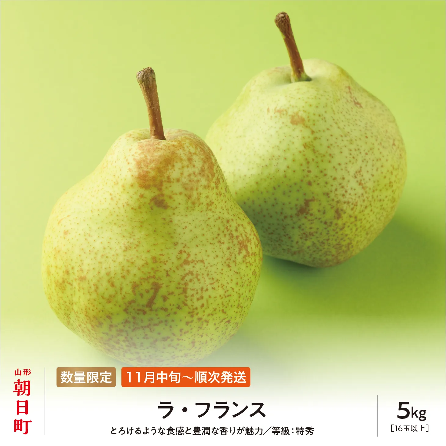 ラ・フランス 洋梨 5kg 18玉以上 特秀 【11月中旬発送】 山形県 朝日町産 山形 特産 産地直送 果物 フルーツ ラフランス 秋 山形産