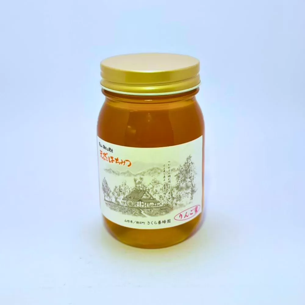 天然 はちみつ 「りんご蜜」600g 国産 純粋 蜂蜜 ハチミツ