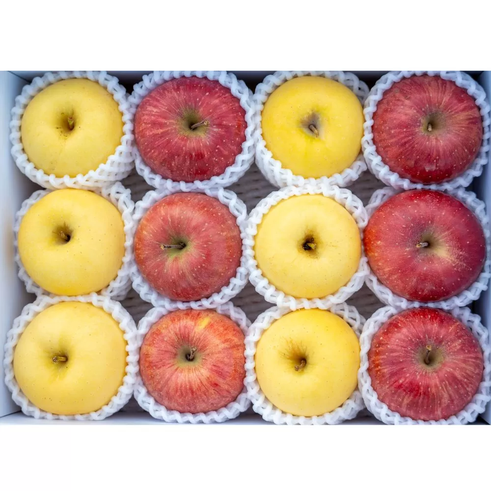 りんご サンふじ & はるか 詰合せ 秀 3kg 10~12玉 【2026年1月発送】 農家直送 山形県 朝日町産 山形県産 特産 果物 フルーツ リンゴ 林檎 産地直送 冬