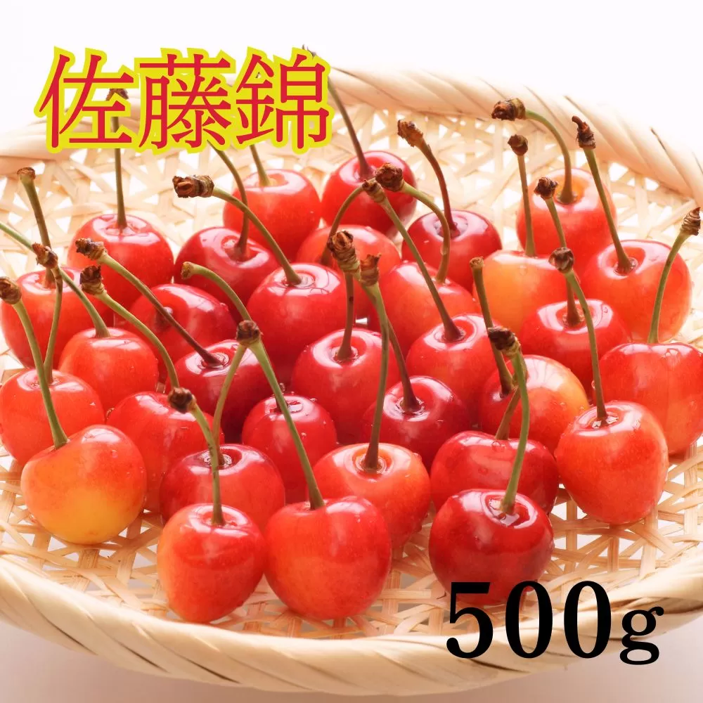＜先行予約＞さくらんぼ 佐藤錦 秀品 L 500g 【2026年6月下旬頃発送】 山形県 朝日町産 農産物 フルーツ 山形産 バラ詰め サクランボ 高級 果物 初夏