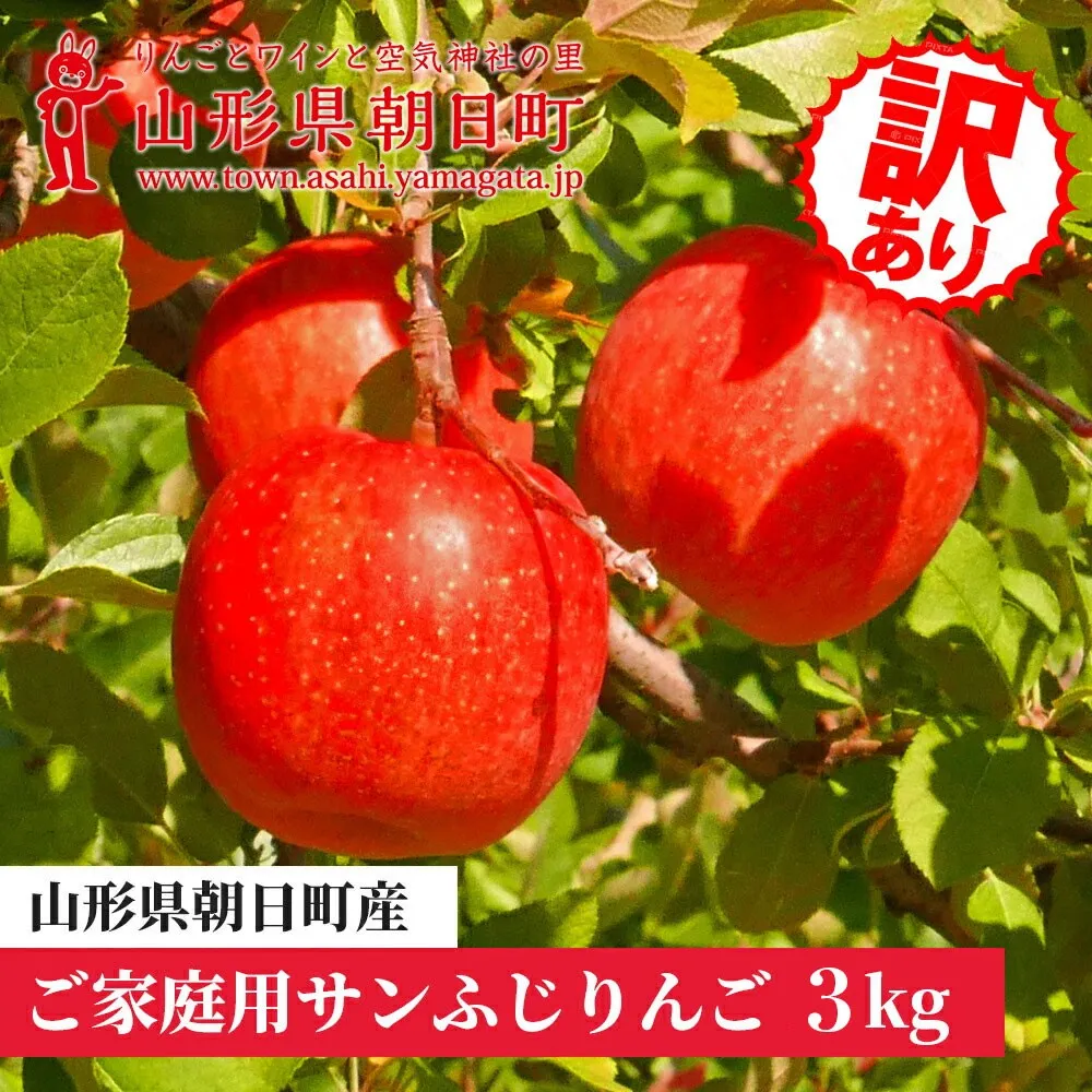 りんご 朝日町産【 ご家庭用 訳あり 】 ふじりんご 3kg 【11月中旬～12月中旬発送】サンふじ ふじ リンゴ 林檎