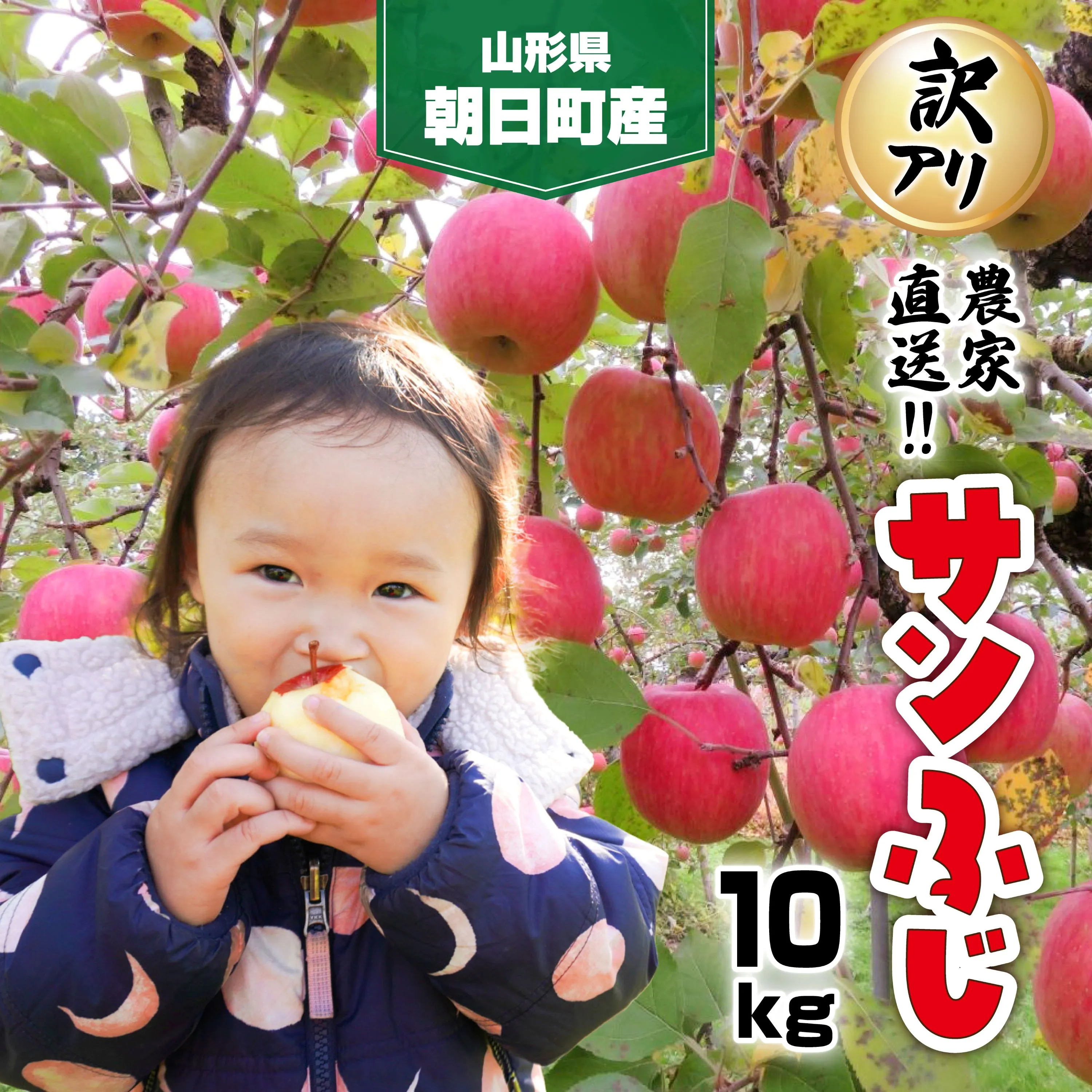 りんご 【 ご家庭用 訳あり 】 サンふじ 10kg 【2026年11月下旬~発送】 山形県 朝日町産 農家直送 山形県産 特産 果物 フルーツ リンゴ 林檎 秋 冬 先行予約 送料無料