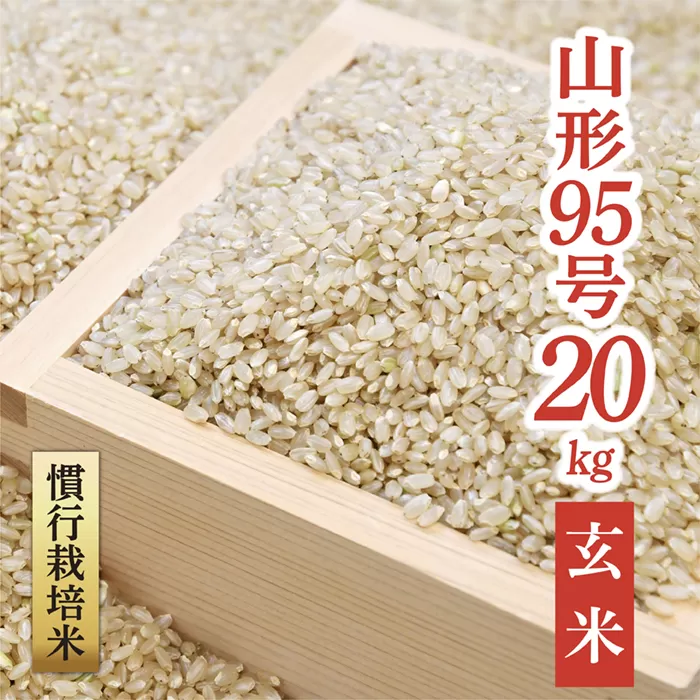 【令和6年産予約】慣行栽培米　山形95号　玄米　20kg(10kg×2)