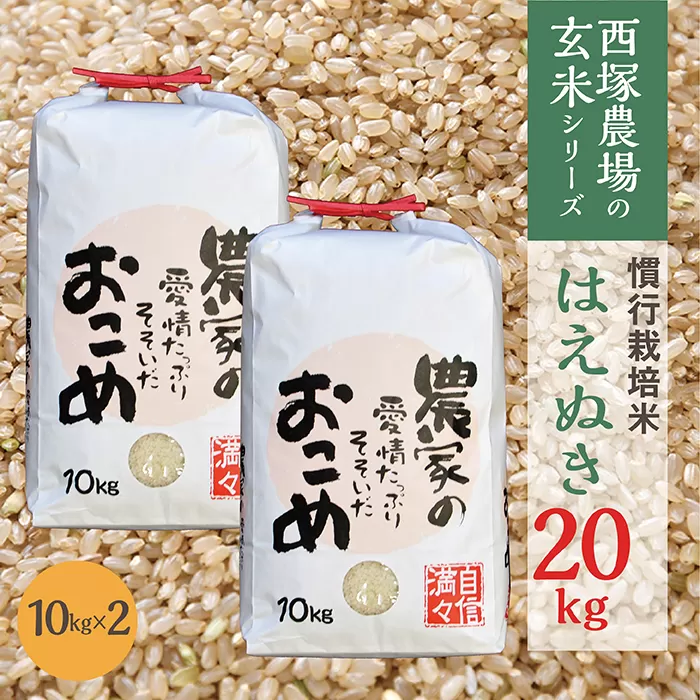 【令和7年産予約】慣行栽培米 はえぬき 玄米 20kg(10kg×2)