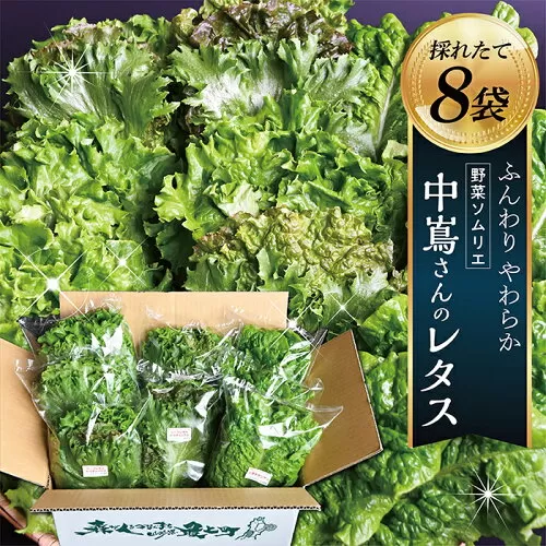 野菜ソムリエ中嶌さんのレタスセット
