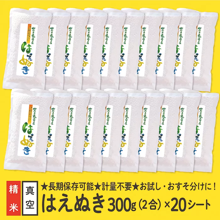 山形県産 はえぬき 真空パック 2合 20シート