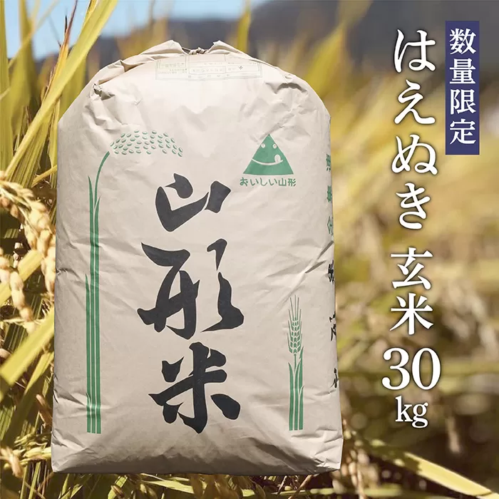 【令和6年産予約】はえぬき 玄米 30kg