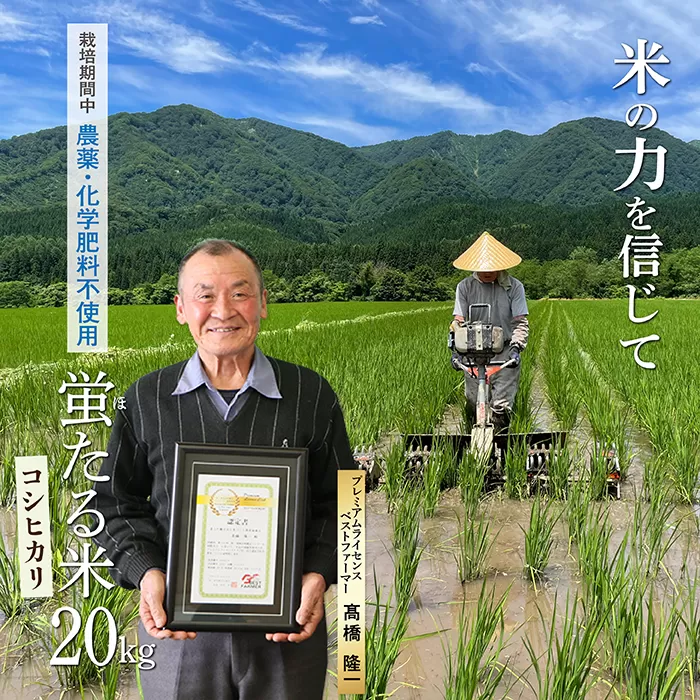 特別栽培米蛍たる米コシヒカリ20kg