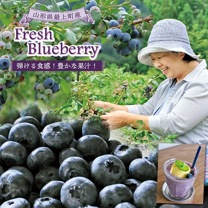 【フレッシュ】最上町産ブルーベリー1kg ※発送は7月～8月になります。