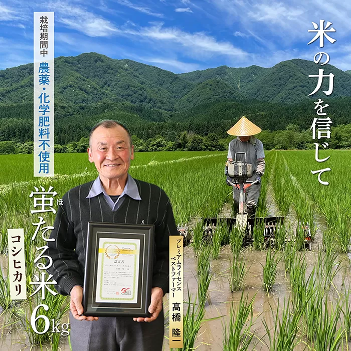特別栽培米蛍たる米コシヒカリ6kg
