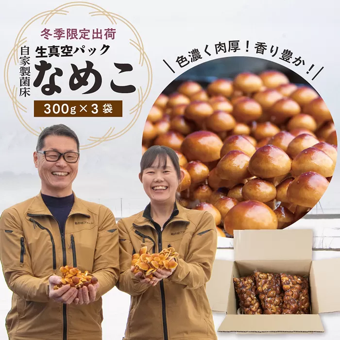 【予約返礼品】最上町産 菌床なめこ300ｇ×3袋