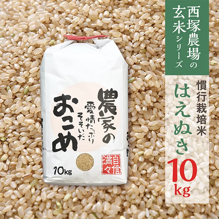 【令和8年産】慣行栽培米 はえぬき 玄米 10kg×1袋