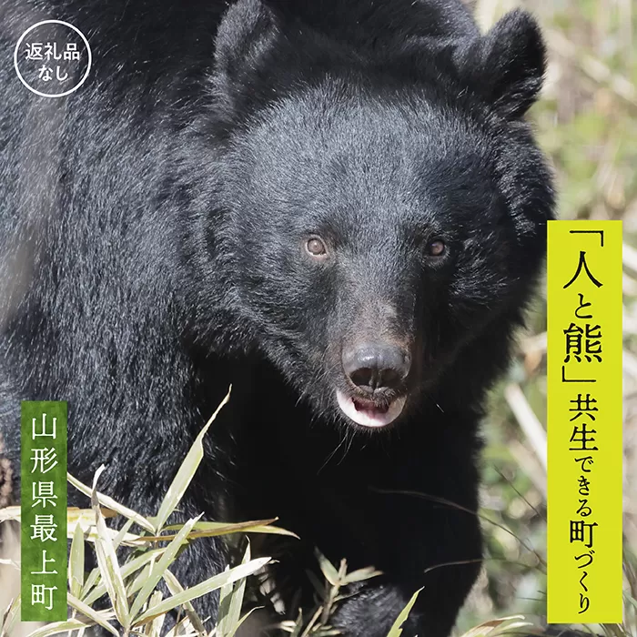 【お礼品の提供なし】熊との共生を目指して～熊による人的被害の防止対策・環境整備へのご支援を～