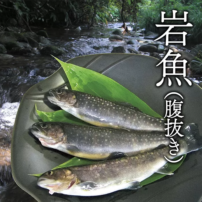 		西塚農場産岩魚冷凍20尾(腹抜き)