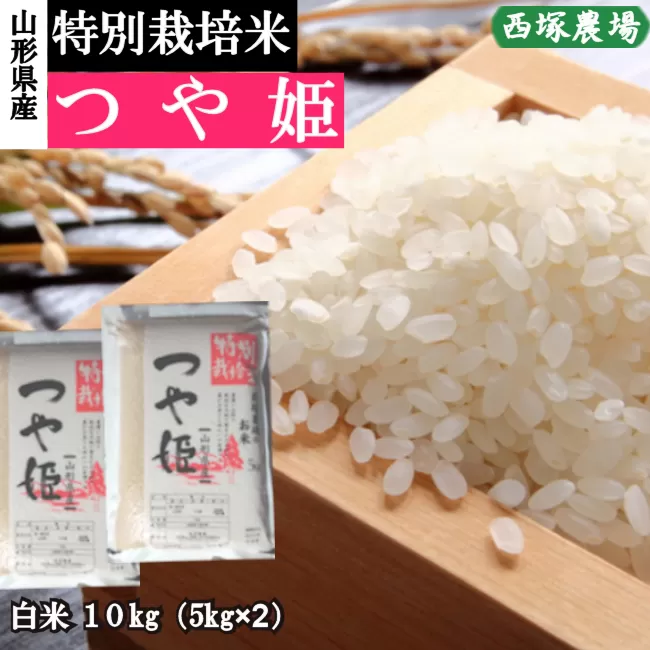 【令和5年産】特別栽培米　つや姫　白米　10kg(5kg×2)