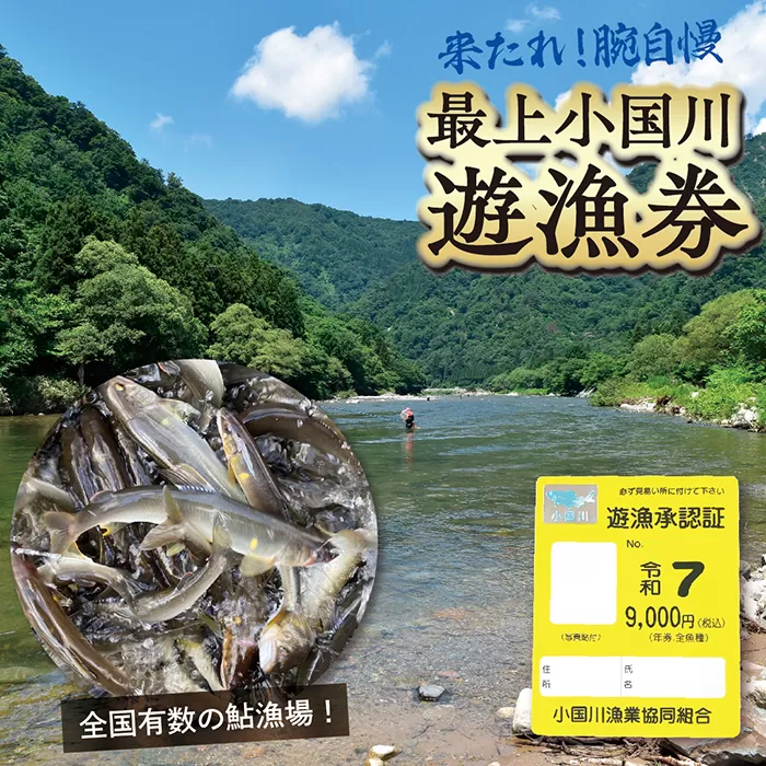 【最上町×舟形町共通返礼品】最上小国川　遊漁券（年券）【令和7年4月1日～令和8年3月31日】鮎釣り 全魚種