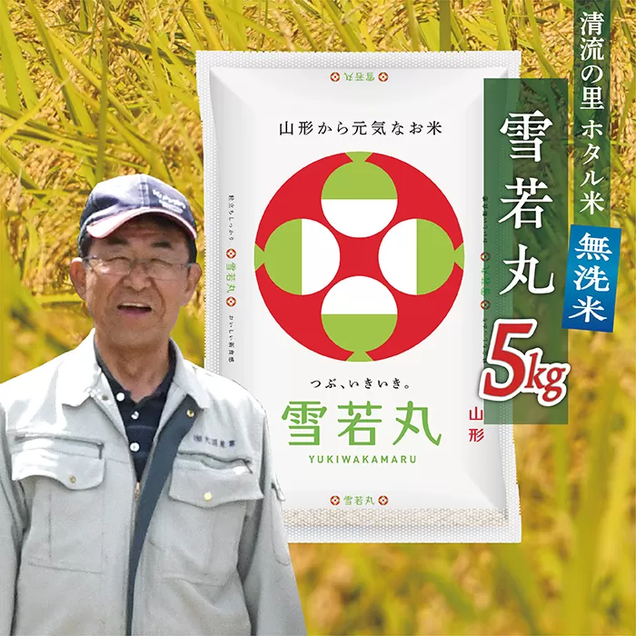 令和7年産 【無洗米】最上町産 ホタル米雪若丸5kg×1袋