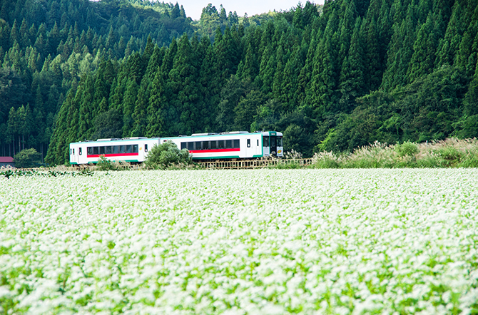 ⑥JR陸羽東線の利用促進と地域公共交通の充実を目指したまちづくり事業