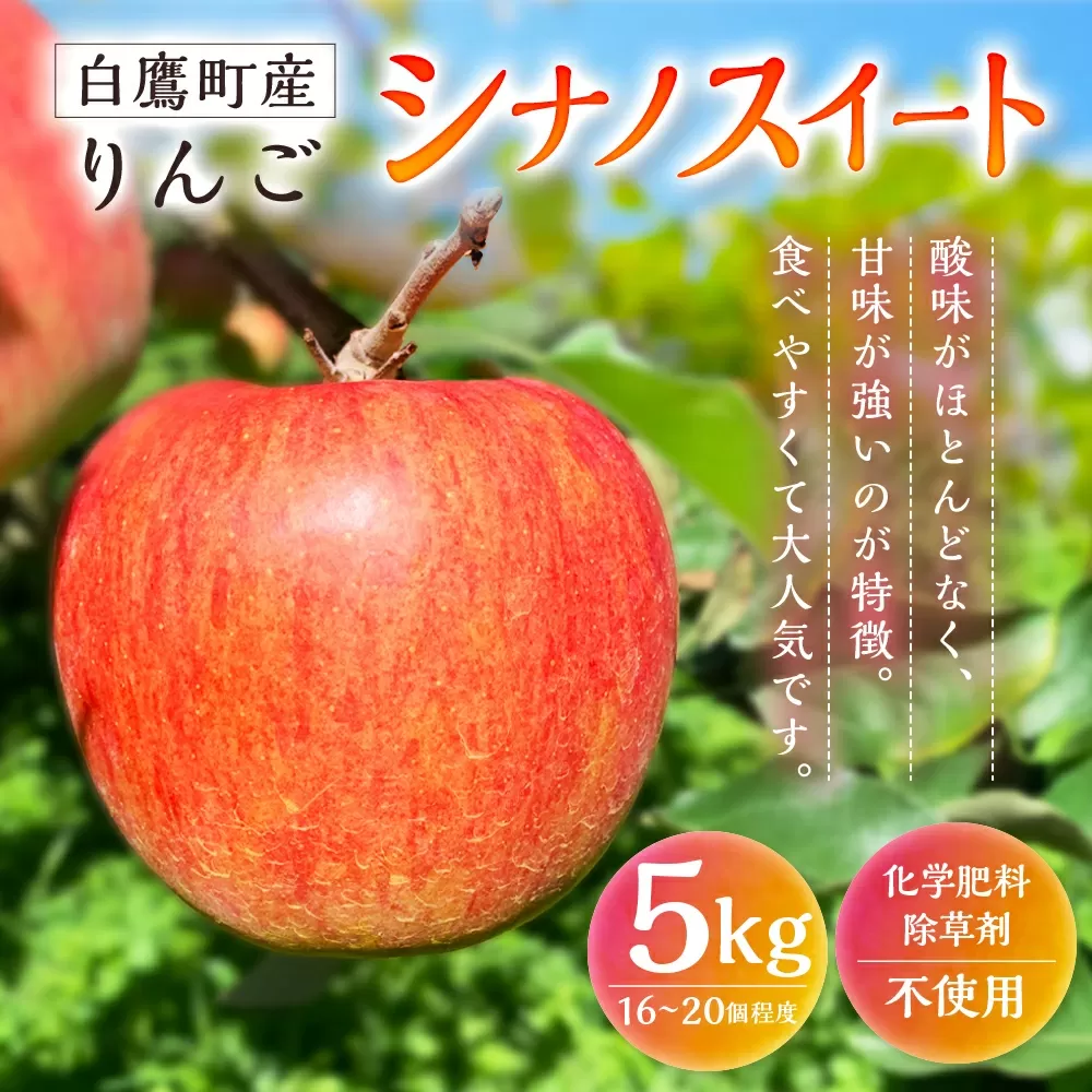 白鷹町産りんご （シナノスイート） 5kg りんご 林檎 果物 くだもの フルーツ 旬 シナノスイート 国産 山形県 白鷹町 【2025年9月下旬～10月上旬発送予定】