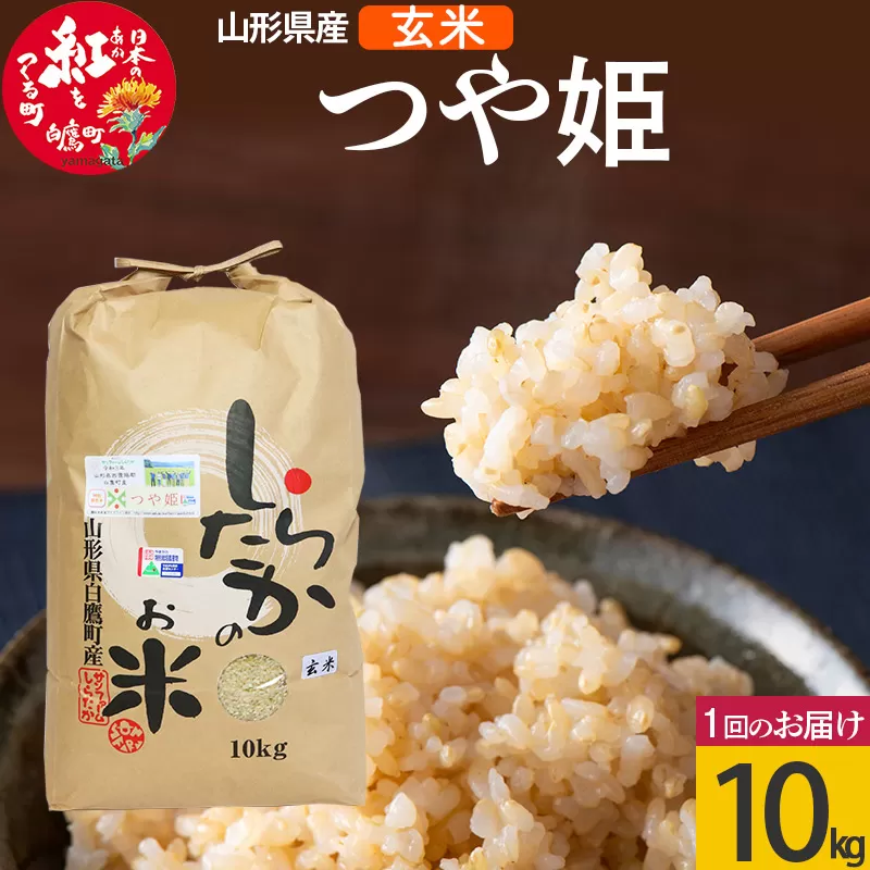 【玄米】つや姫 10kg（特別栽培米）令和5年産 山形県産 しらたかのお米