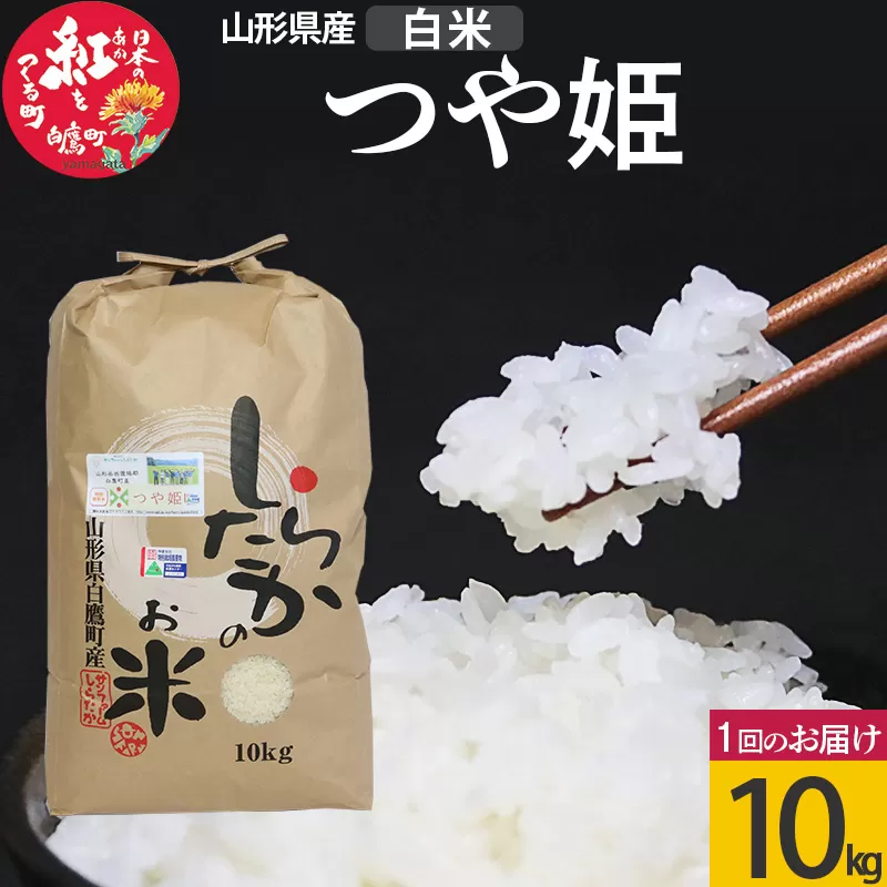 【白米】つや姫 10kg（特別栽培米）令和5年産 山形県産 しらたかのお米