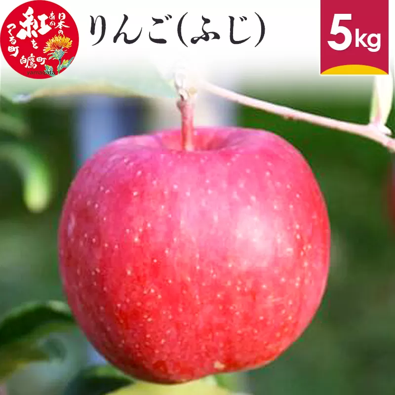 りんご (ふじ) 5kg 山形県産 フルーツ 果物 リンゴ 林檎 【2024年12月上旬～12月下旬に順次発送予定】