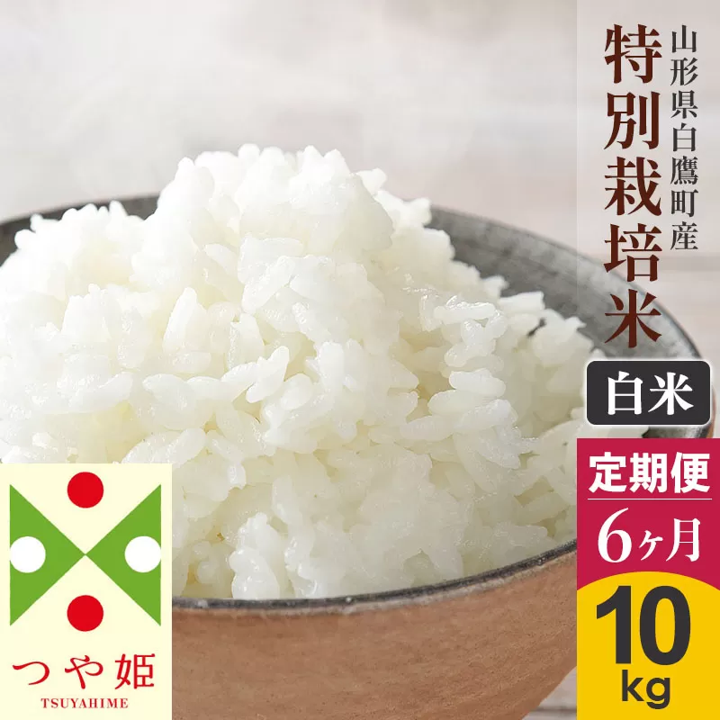 《定期便6ヶ月》【白米】つや姫 10kg×6回（特別栽培米）令和5年産 山形県産 しらたかのお米