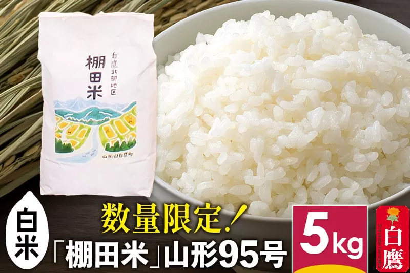 【白米】山形県産 棚田米 白鷹ほまれ 5kg 山形95号 令和7年産 米 お米 精米 コメ おこめ ごはん ご飯 白米 5キロ 【2025年10月下旬順次出荷予定】