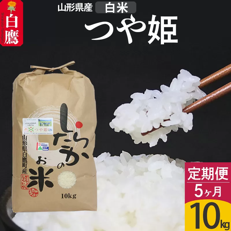 《定期便5ヶ月》【白米】つや姫 10kg×5回（特別栽培米）令和5年産 山形県産 しらたかのお米