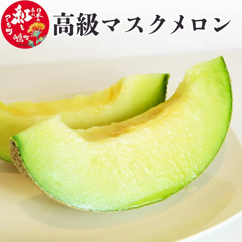 高級マスクメロン 1玉 山形県産 果物 フルーツ 【2024年9月上旬に順次発送予定】