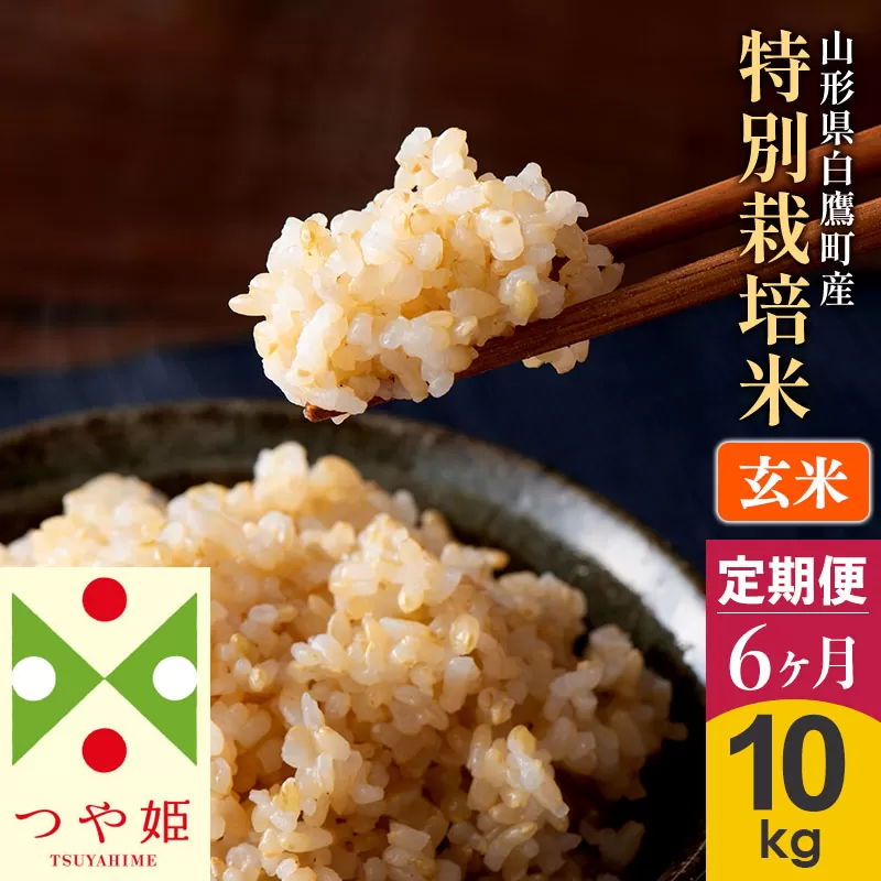 《定期便6ヶ月》【玄米】つや姫 10kg×6回（特別栽培米）令和5年産 山形県産 しらたかのお米
