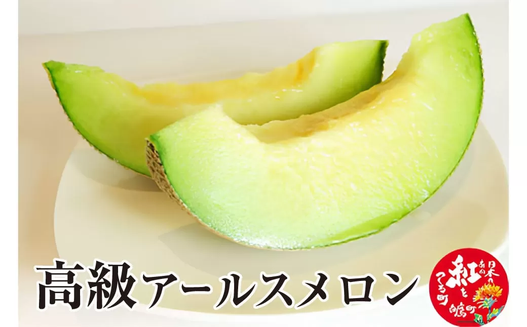 高級アールスメロン 1玉 山形県産 果物 フルーツ 【2025年9月上旬順次発送予定】