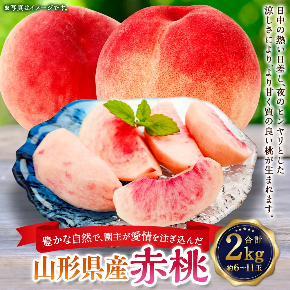 豊かな自然で、園主が愛情を注ぎ込んだ桃（赤桃） 2kg 約6～11玉 山形県産 【2025年8月に順次発送予定】