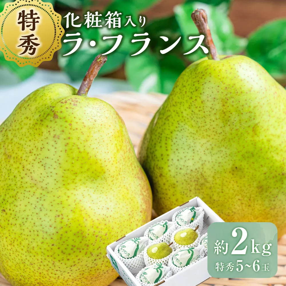 ラ・フランス （特秀） 2kg【化粧箱入り】 山形県産 フルーツ 果物 【2025年11月上旬-12月上旬発送予定】