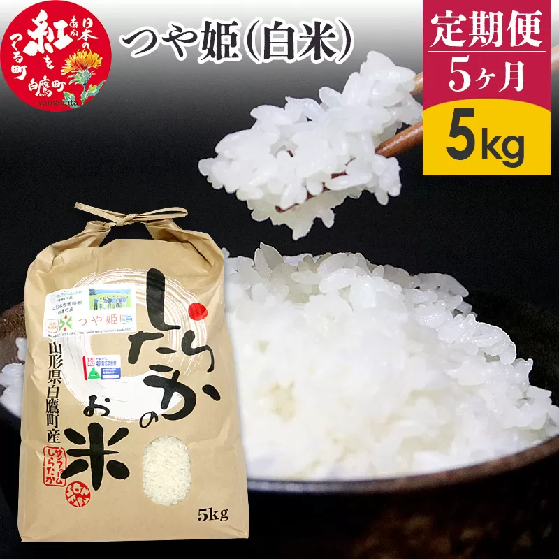 《定期便5ヶ月》【白米】つや姫 5kg×5回（特別栽培米）令和5年産 山形県産 しらたかのお米