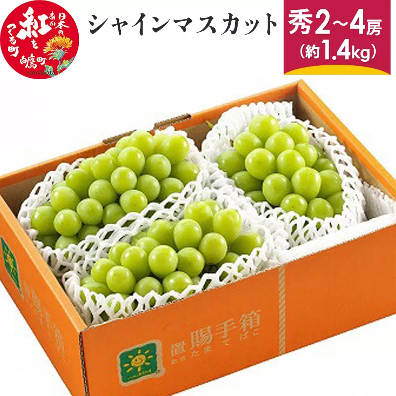 シャインマスカット 秀2〜4房(約1.4kg) 山形県産 フルーツ 果物 ブドウ ぶどう 葡萄 【2025年9月下旬-10月上旬発送予定】