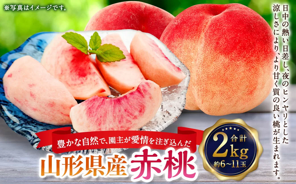 豊かな自然で、園主が愛情を注ぎ込んだ桃（赤桃） 2kg 約6～11玉 山形県産 【2025年8月上旬から下旬までに順次発送予定】