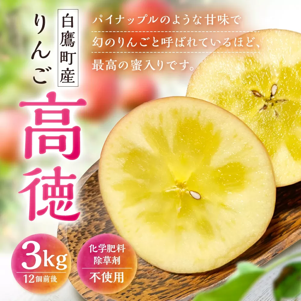 白鷹町産りんご （高徳） 3kg りんご 林檎 果物 くだもの フルーツ 旬 高徳 国産 山形県 白鷹町 【2025年11月上旬～11月下旬発送予定】